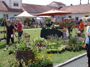 Gartentage im Stift Reichersberg